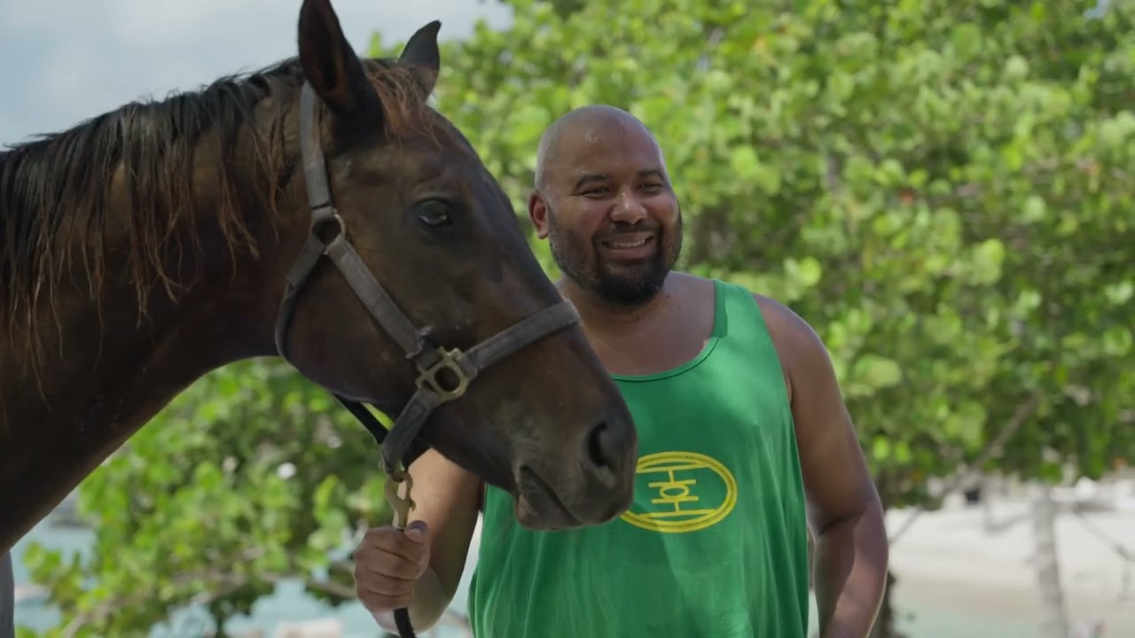 Equine Therapy in the Caribbean at The Aerial, BVI
