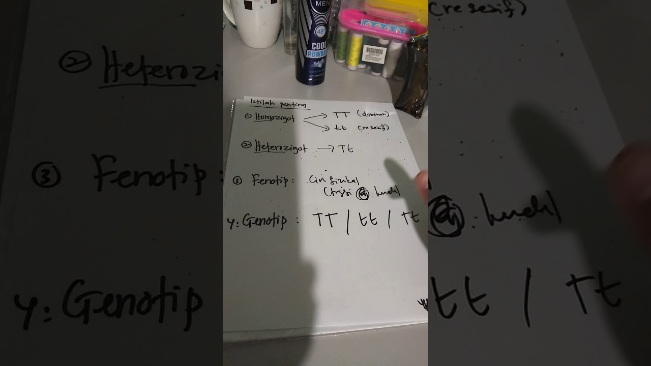 Homozigot,heterozigot,fenotip,genotip