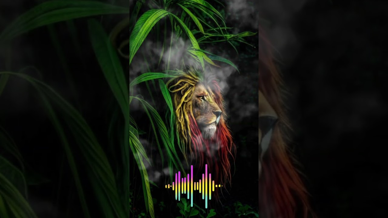 🇸🇹 Reggae- I Love You.♥️🌴