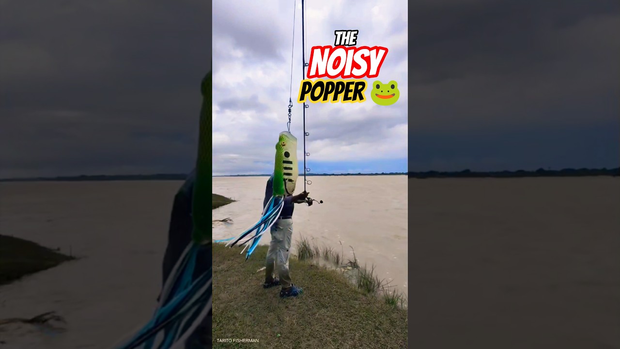 20+ Snakehead Catches! Lucana Popper Frog&rsquo;s Thunderous River Debut 🐟⚡🐍