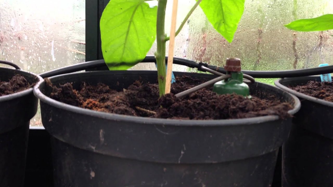 Vanningssystemet 001