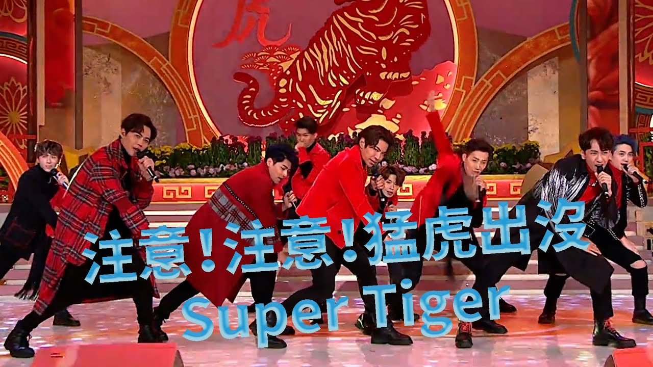 恭喜發財好運來｜注意！注意！猛虎出沒 Super Tiger ｜羅天宇｜許俊豪｜丘梓謙