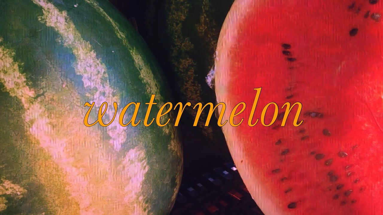 Watermelon - John + Jane Q. Public 🍉 lyrics 