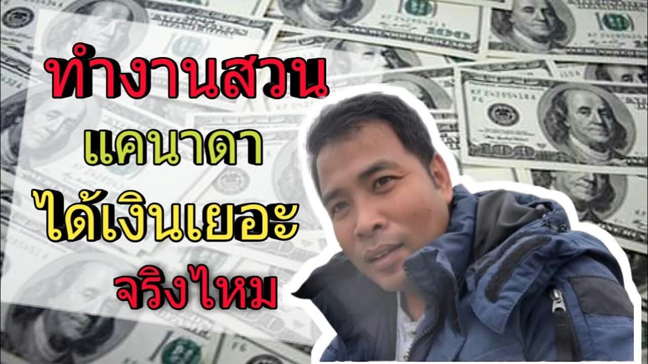 ทำงานสวนในแคนาดาได้เงินเยอะจริงไหม กับ พ่อเอวา พาไปดูๆๆ
