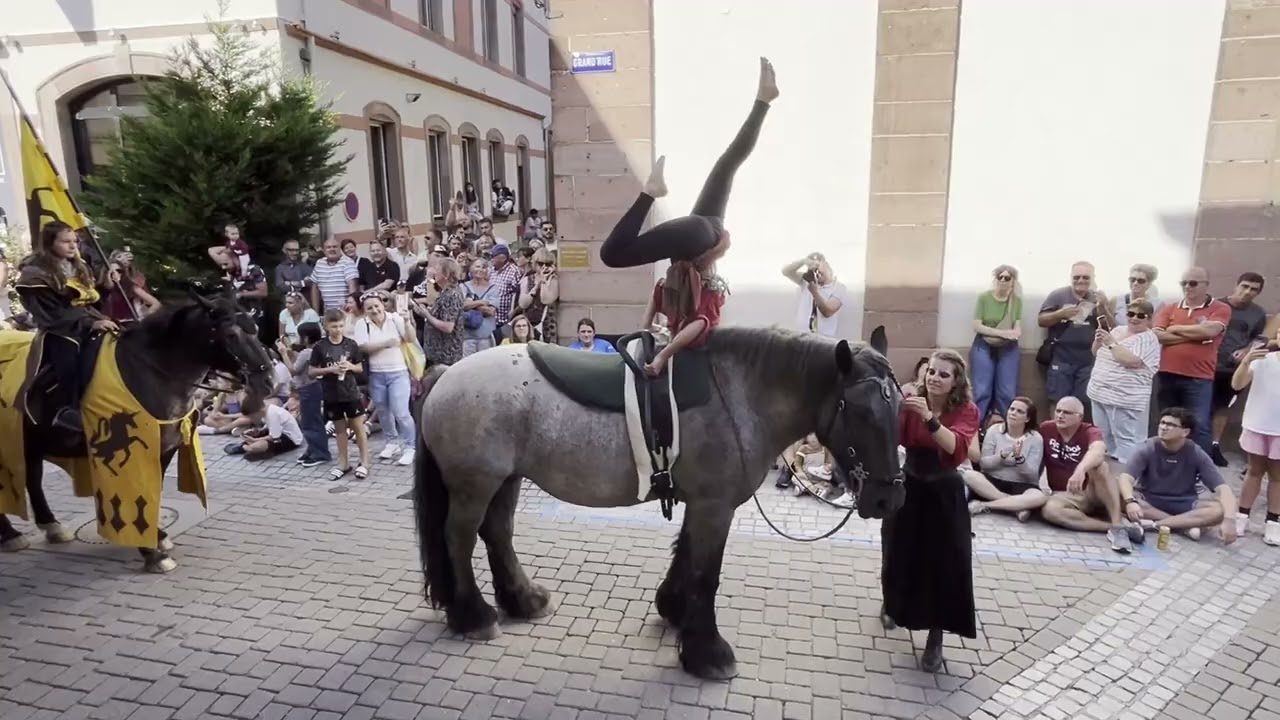Fête des Menetriers  pfifferdaj Ribeauvillé 2025