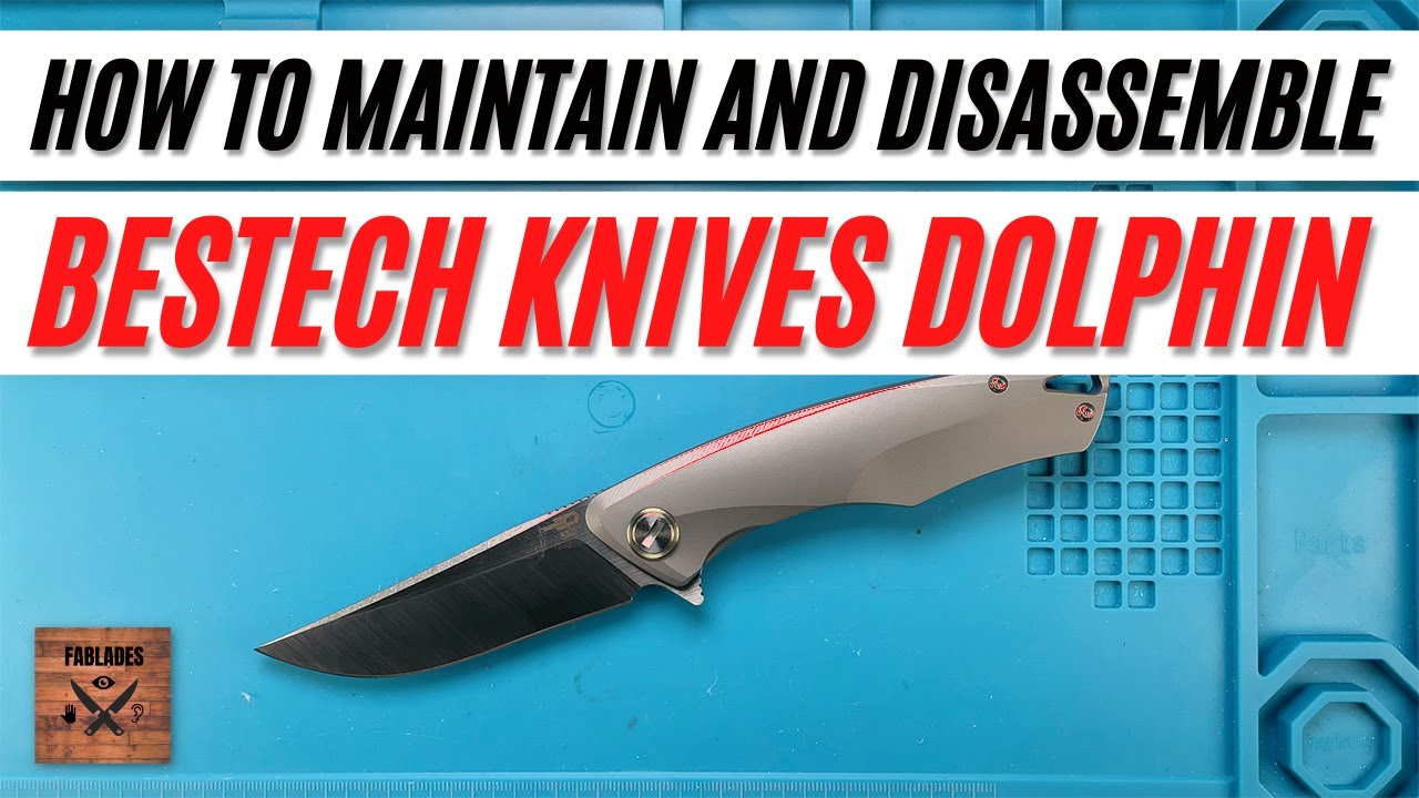 How to Disassemble and Maintain the Bestech Dolphin Pocketknife. Fablades Full Review