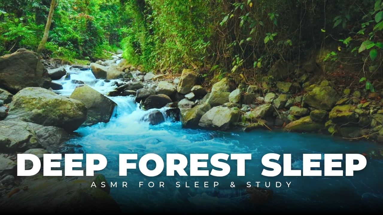 Deep Forest Sounds with Bubbling Brook | Relaxing Nature ASMR for Sleep & Study