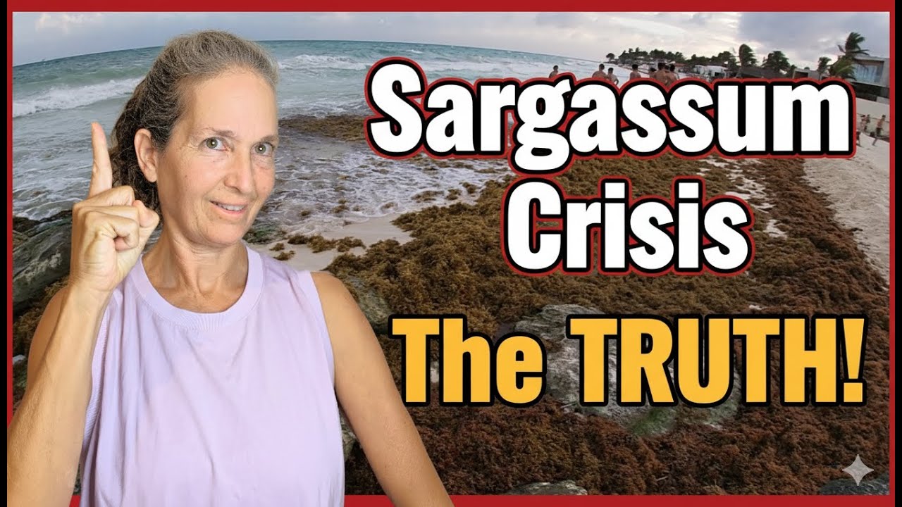 Sargassum Invasion: The One Thing YOU Can Do to Save Our Beaches