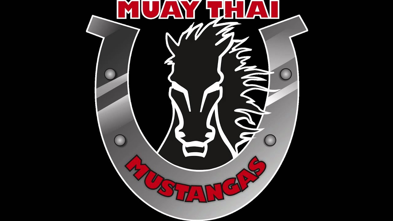 Shaman - Mustangas
