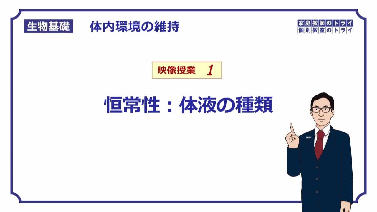 【生物基礎】　体内環境の維持1　恒常性：体液の種類　（１３分）