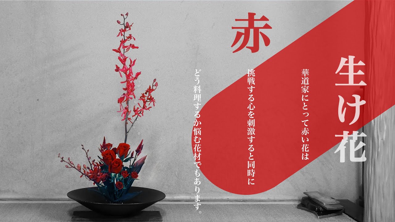【色しばり】赤いお花だけで生け花してみた！