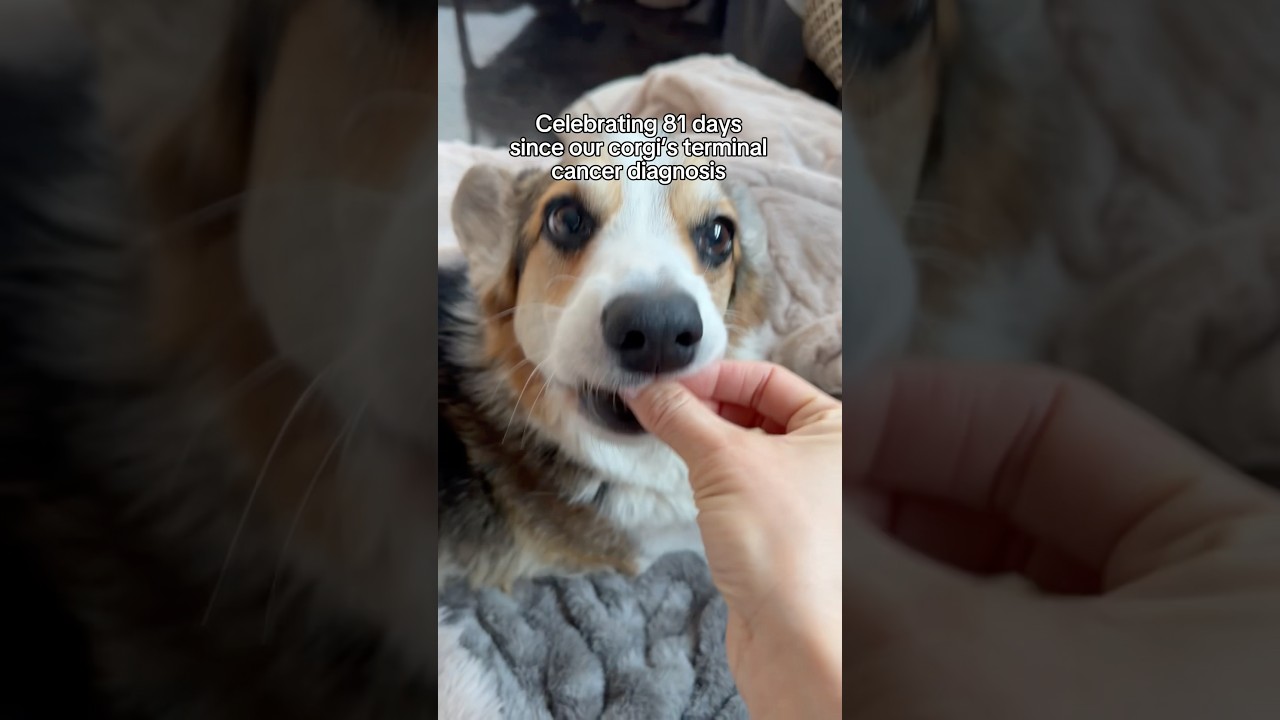 Every day with him is a gift
