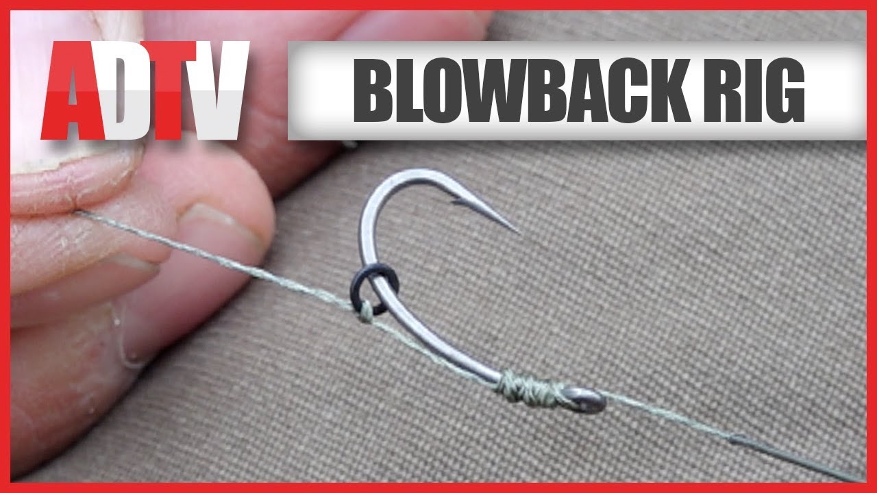 AD QuickBite - How To Tie A Blowback Rig