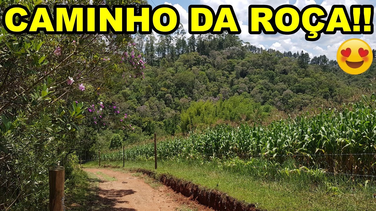 Passeio Na Ro&ccedil;a  Com Lindas Paisagens, Nascente e Trilhas...🥰🌳🌿