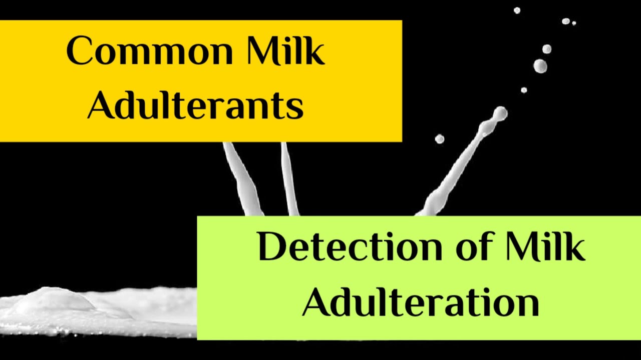 Milk Adulteration || Detection of Milk Adulterants || Common Milk Adulterants