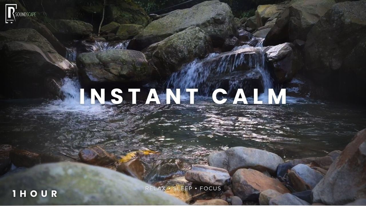This Forest Water Sound Will Instantly Calm You 🌿💧