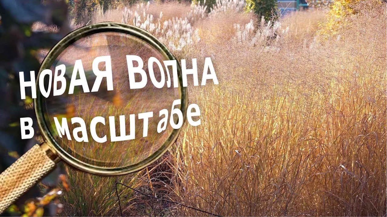 Новая волна в масштабе