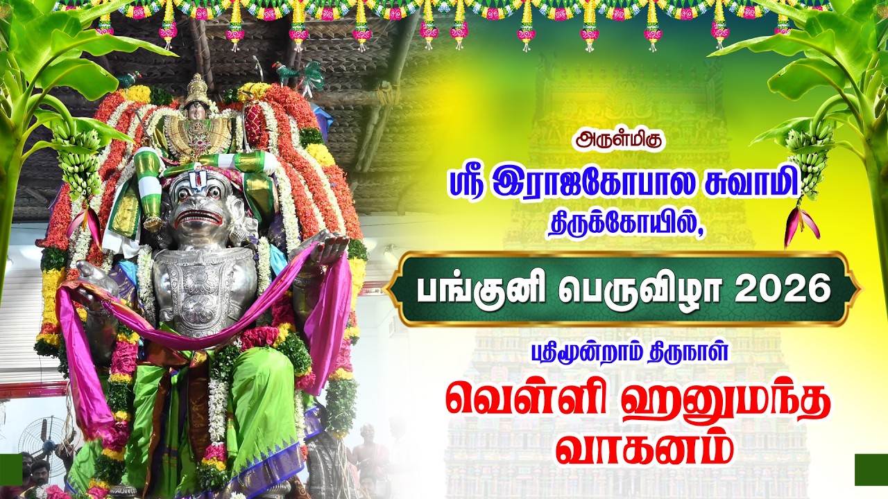 Panguni Bramotsavam Day 13 Hanumantha Vaganam Sri Rajagopalaswamy Temple Mannargudi | ஹனுமந்த வாகனம்