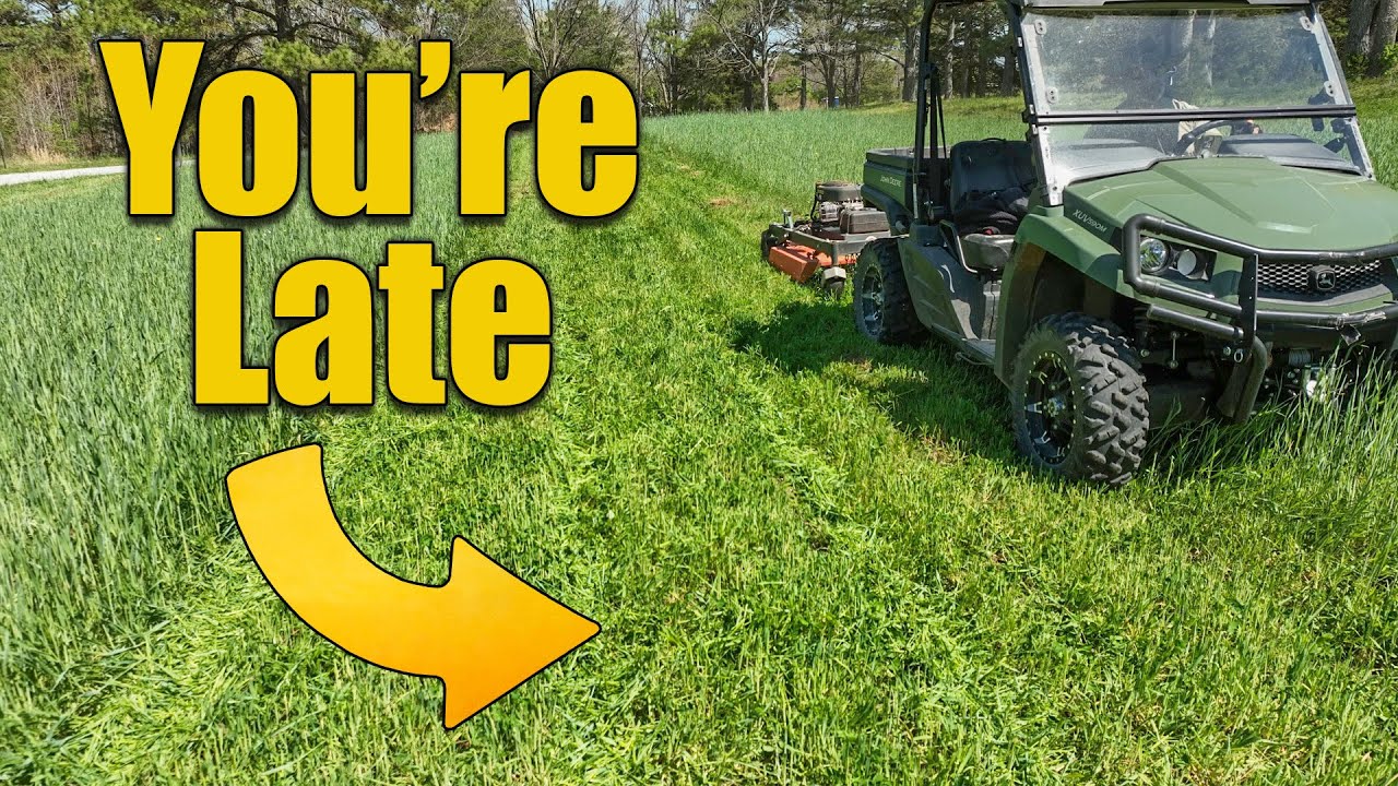 Are You Ready for Spring Lawn Care