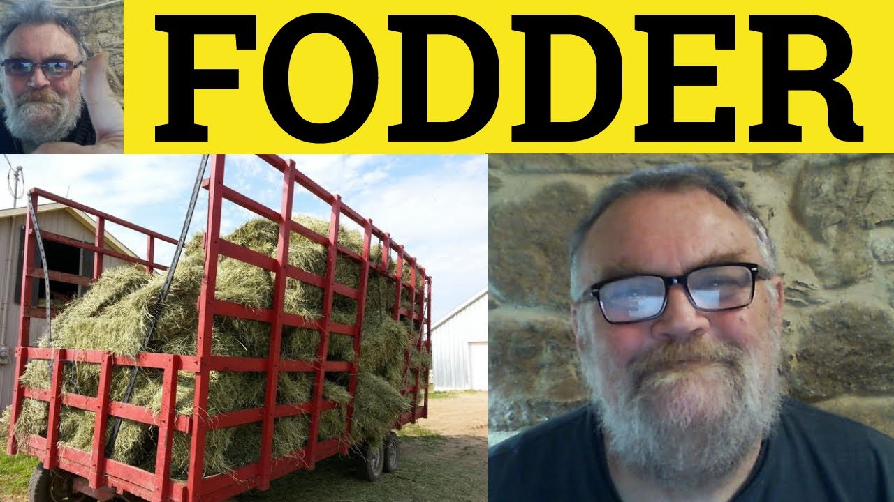 🔵 Fodder Meaning - Fodder Examples - Cannon Fodder Defined - GRE Vocabulary