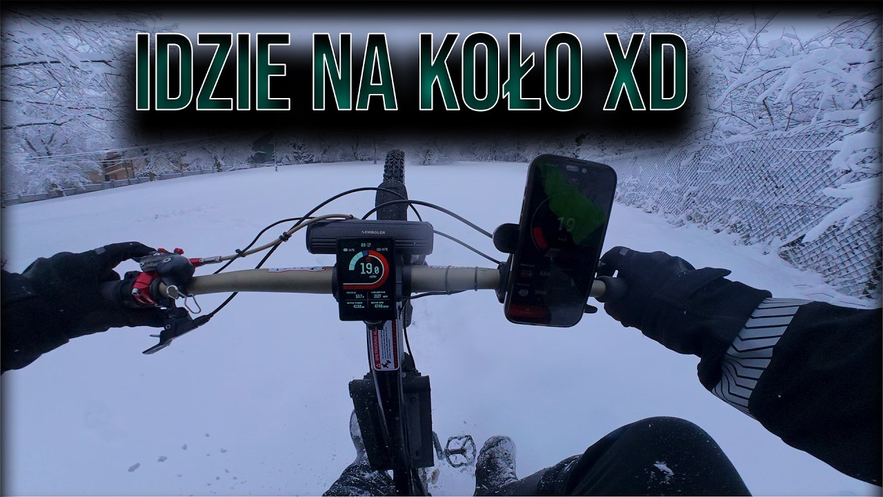 ALE NAROBIŁEM SZKÓD