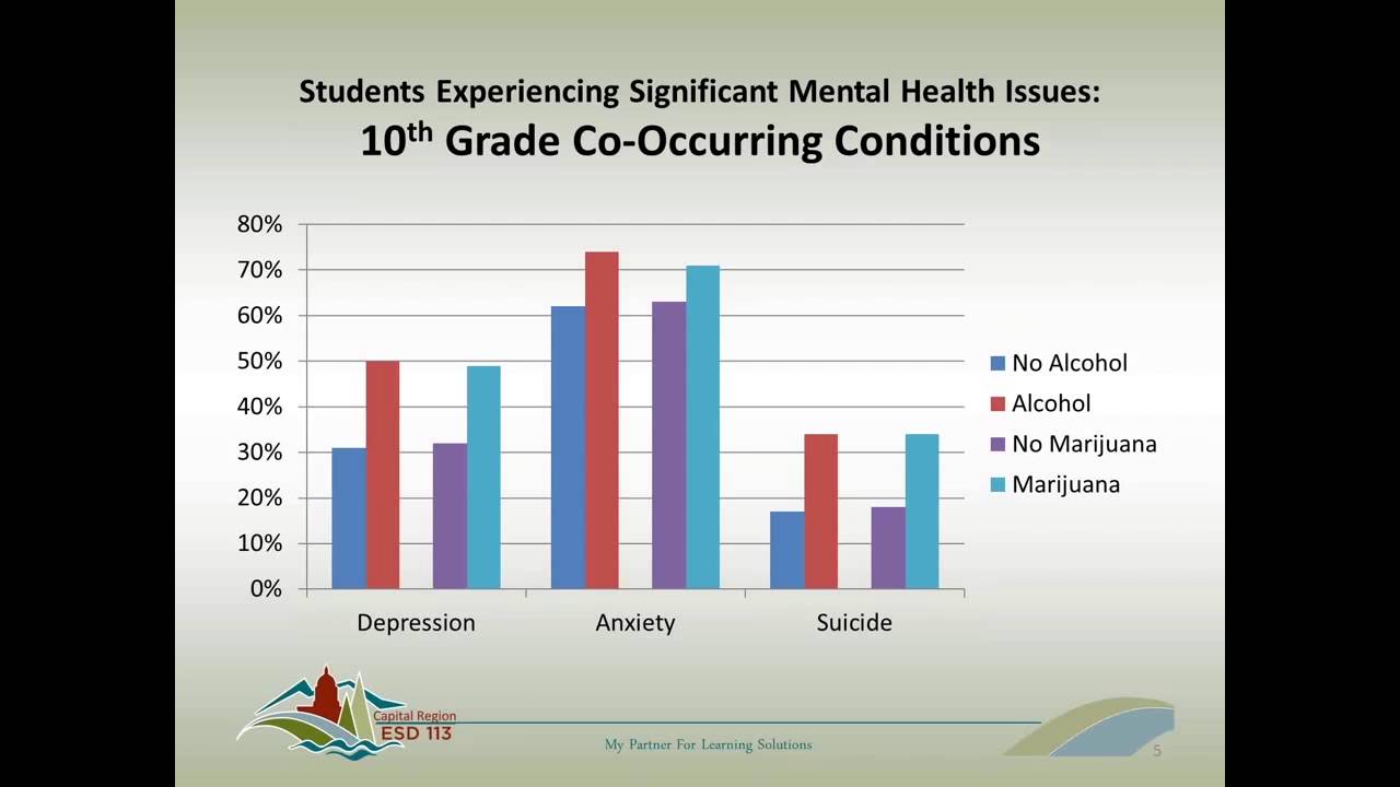 School Mental Health Resources and Supports: First Steps and Lessons Learned