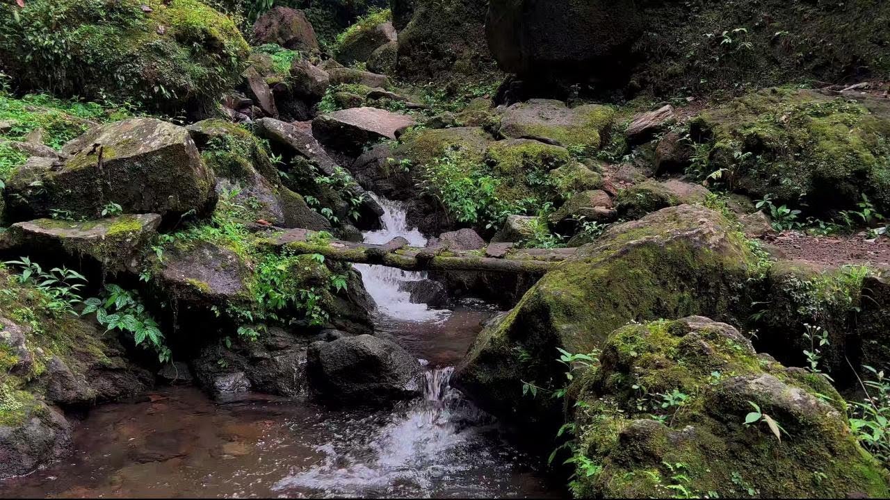 Mountain River Flowing Sounds 24/7 | Nature Sounds White Noise | Flowing Water for Deep Sleep, Relax