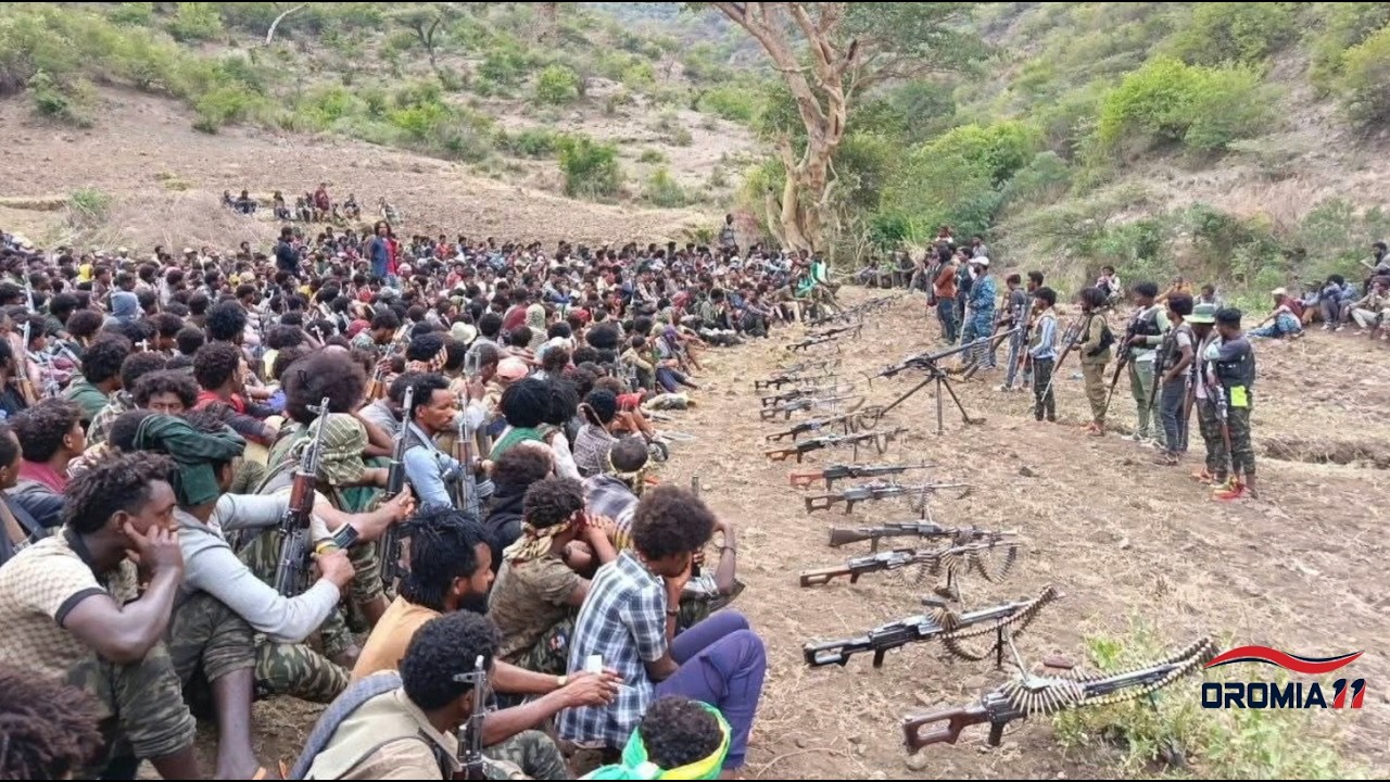 OROMIA11: Oduu 3-2-2026
