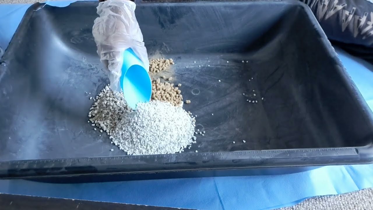 HOW I MAKE MY LITHOPS SOILMIX/ GRITTY MIX