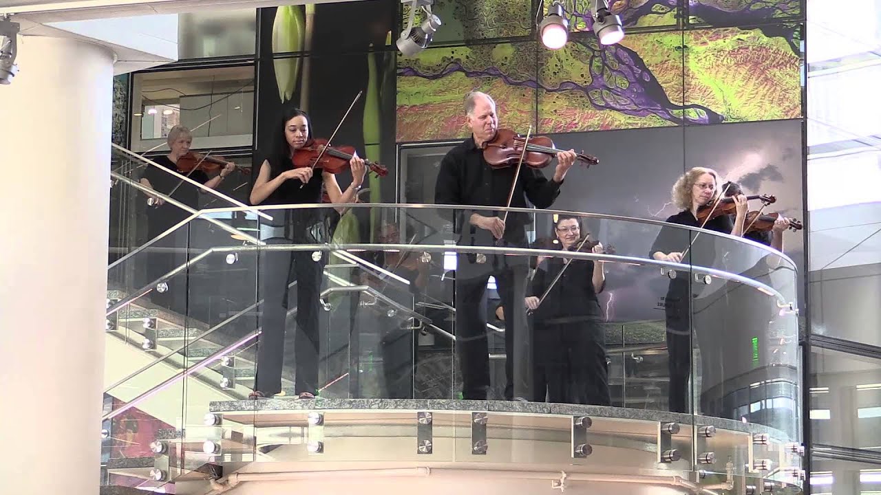 Raleigh Symphony Orchestra - Flash Mob