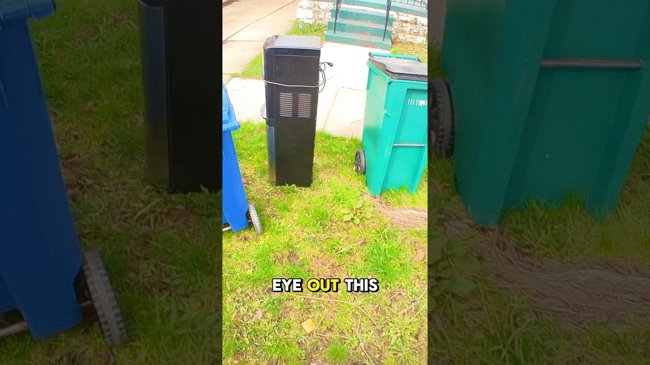 Curb picking on garbage day