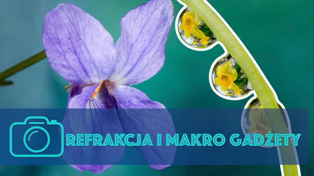 Refrakcja i gadżety do zdjeć makro