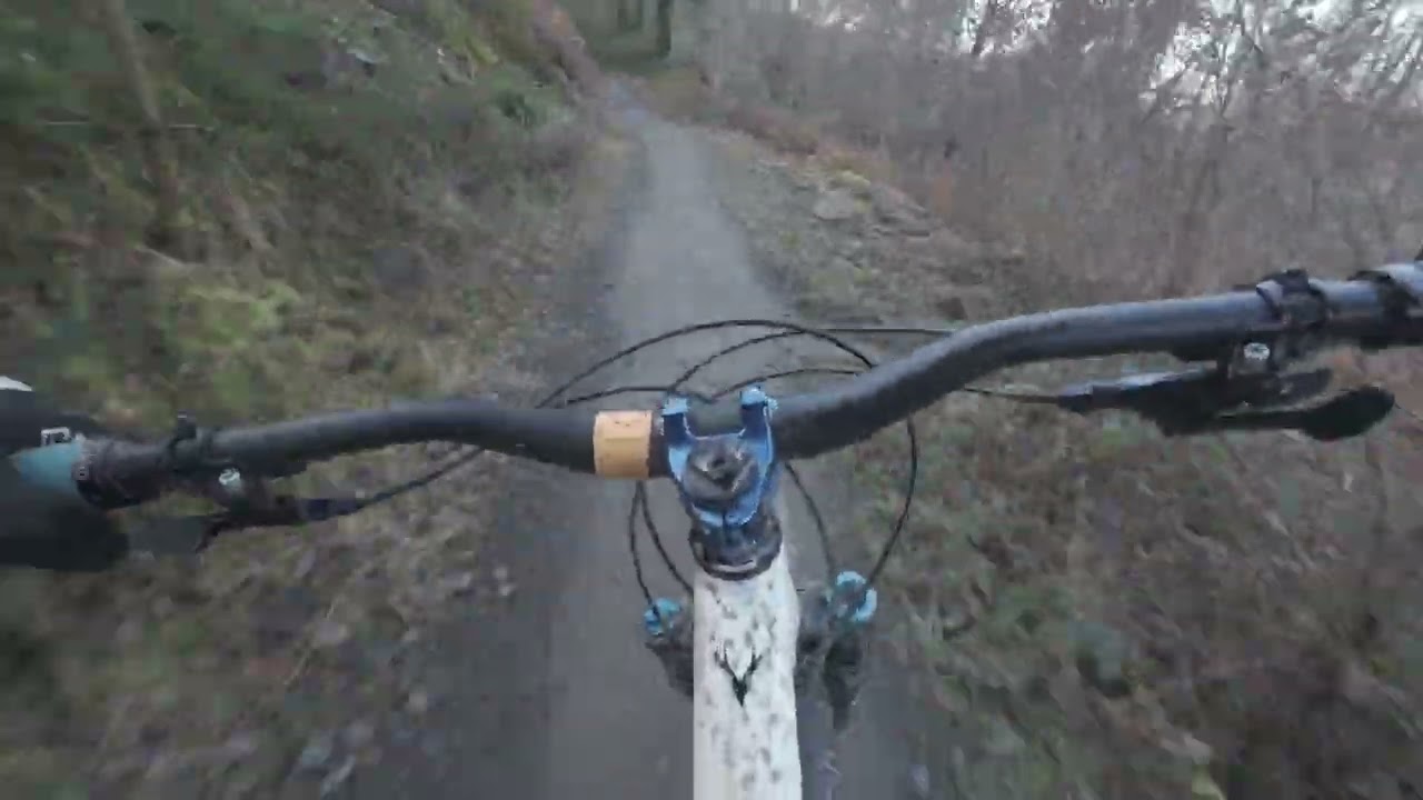 Willy Waver – 3rd Run | Chasing Rhythm, Flow & Speed ⚡