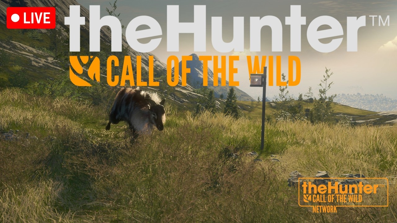 DIRECTO | THAR CON EL NUEVO COMEDERO | Thehunter: Call Of The Wild #earlyaccess #thehunternetwork