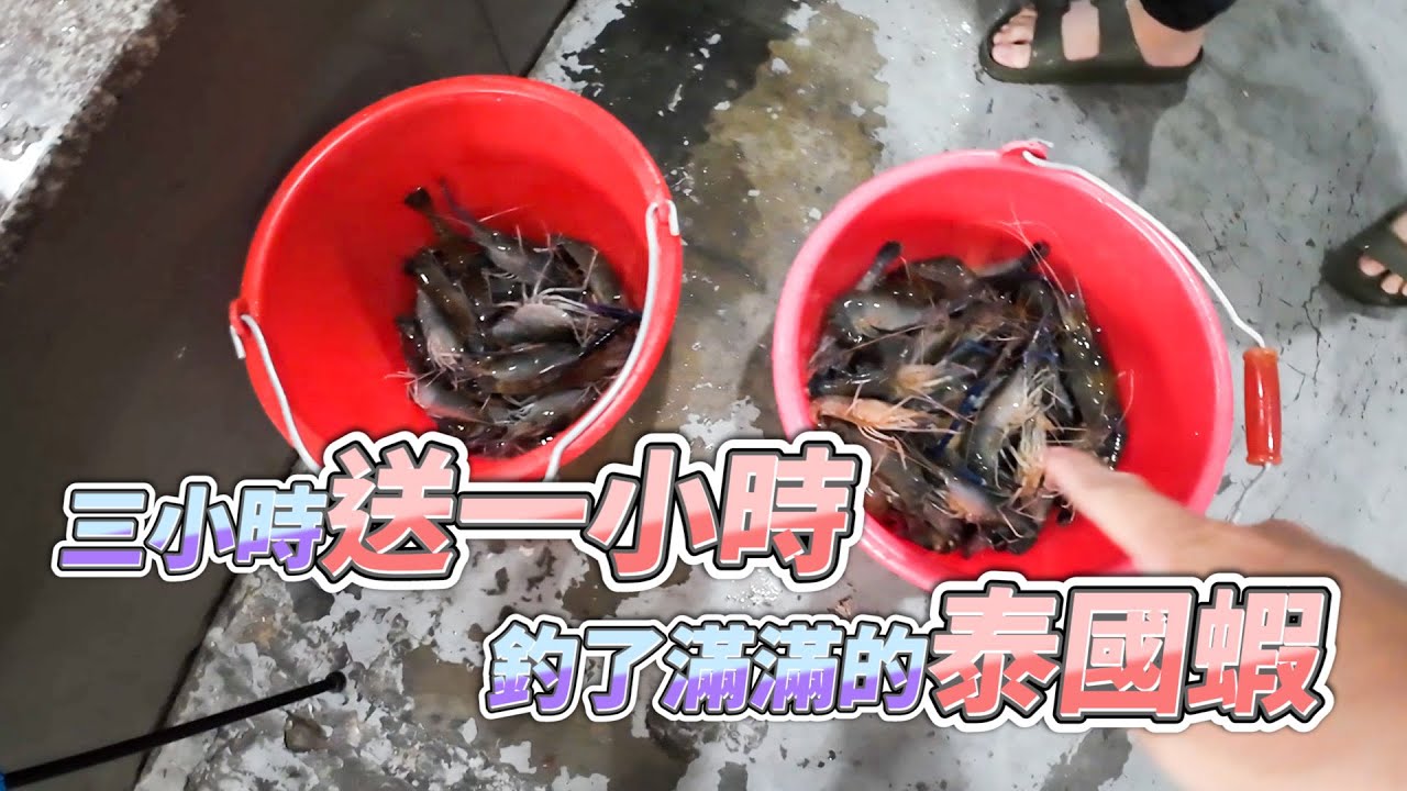 【台客去釣蝦】歐耶！這回直接釣個爽！兩人各釣四小時竟然釣了兩大桶！ feat.歐耶釣蝦場