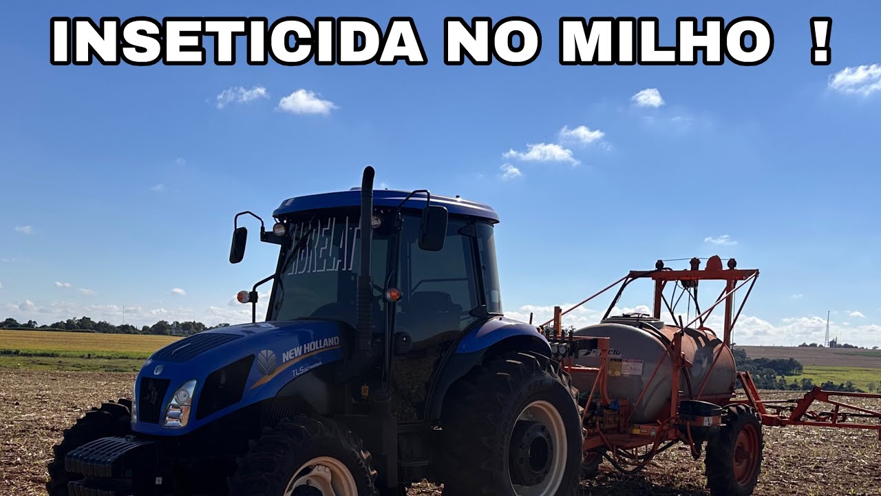 Inseticida no milho !!!