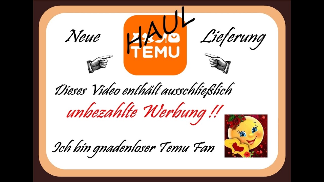 Temu Mini Einkauf - 13.11.2025   #haul