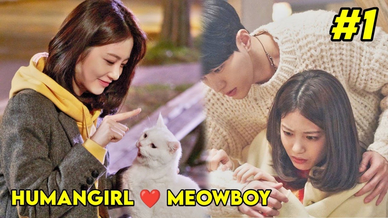 Human ❤️ Meow | Part 1 | Korean Drama Tamil Explanation #koreandrama #kdrama  #koreandramaexplain