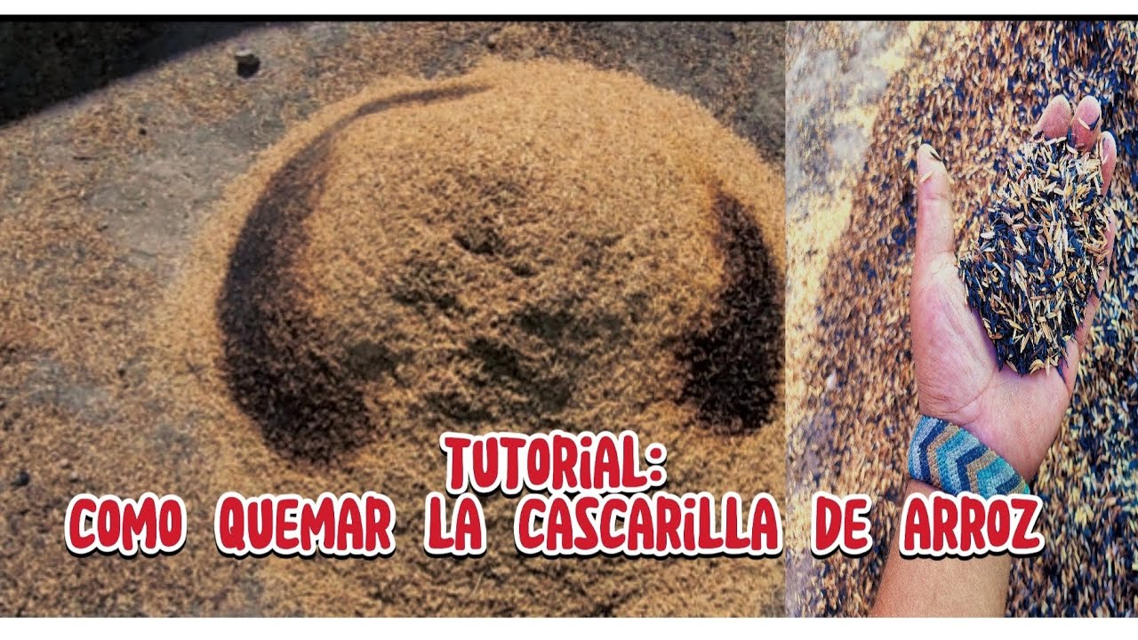 Tutorial : 