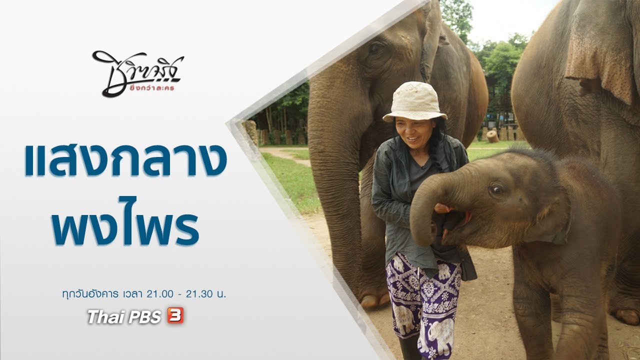 แสงกลางพงไพร : ชีวิตจริงยิ่งกว่าละคร (27 ก.ค. 64)