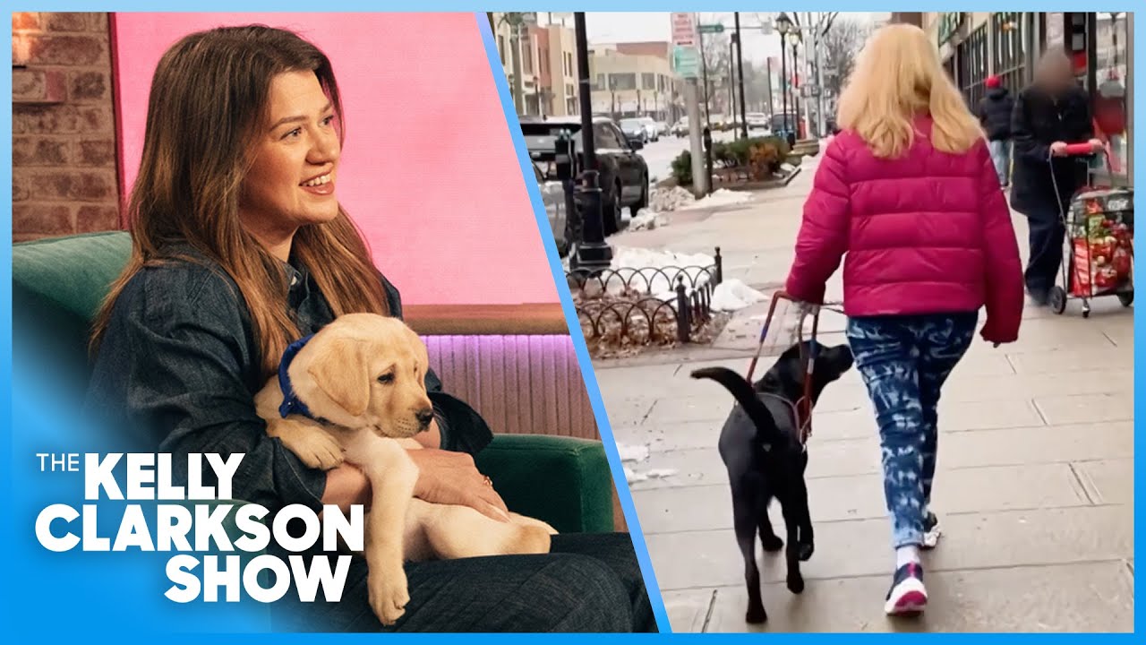 Kelly Clarkson Meets Adorable Guiding Eyes Puppies