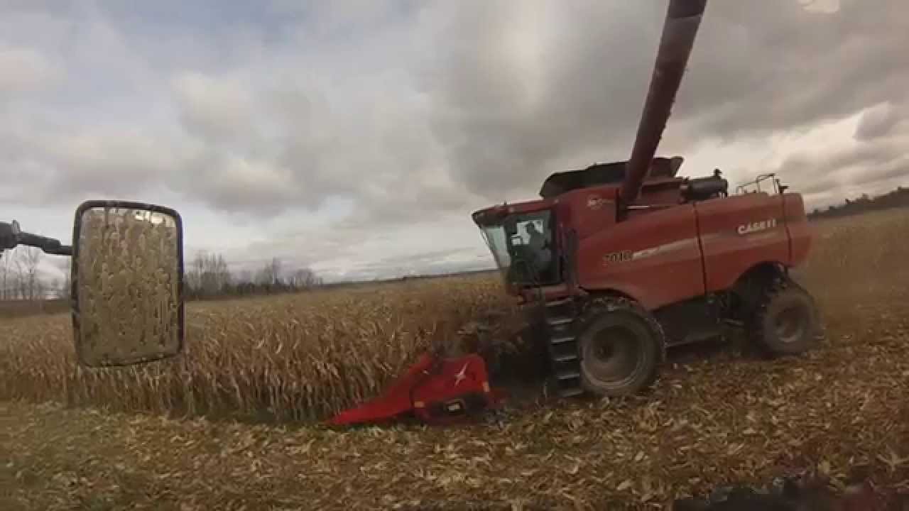 P&H Koch Farms Harvest - GoPro