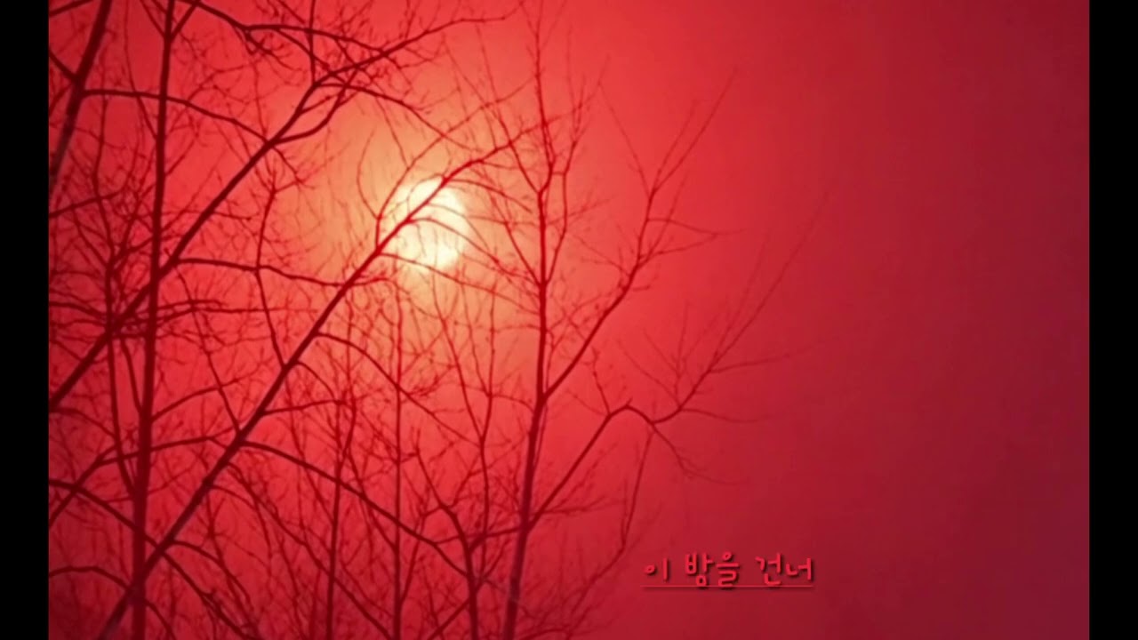 붉은 달빛 아래서@bono_lifetime