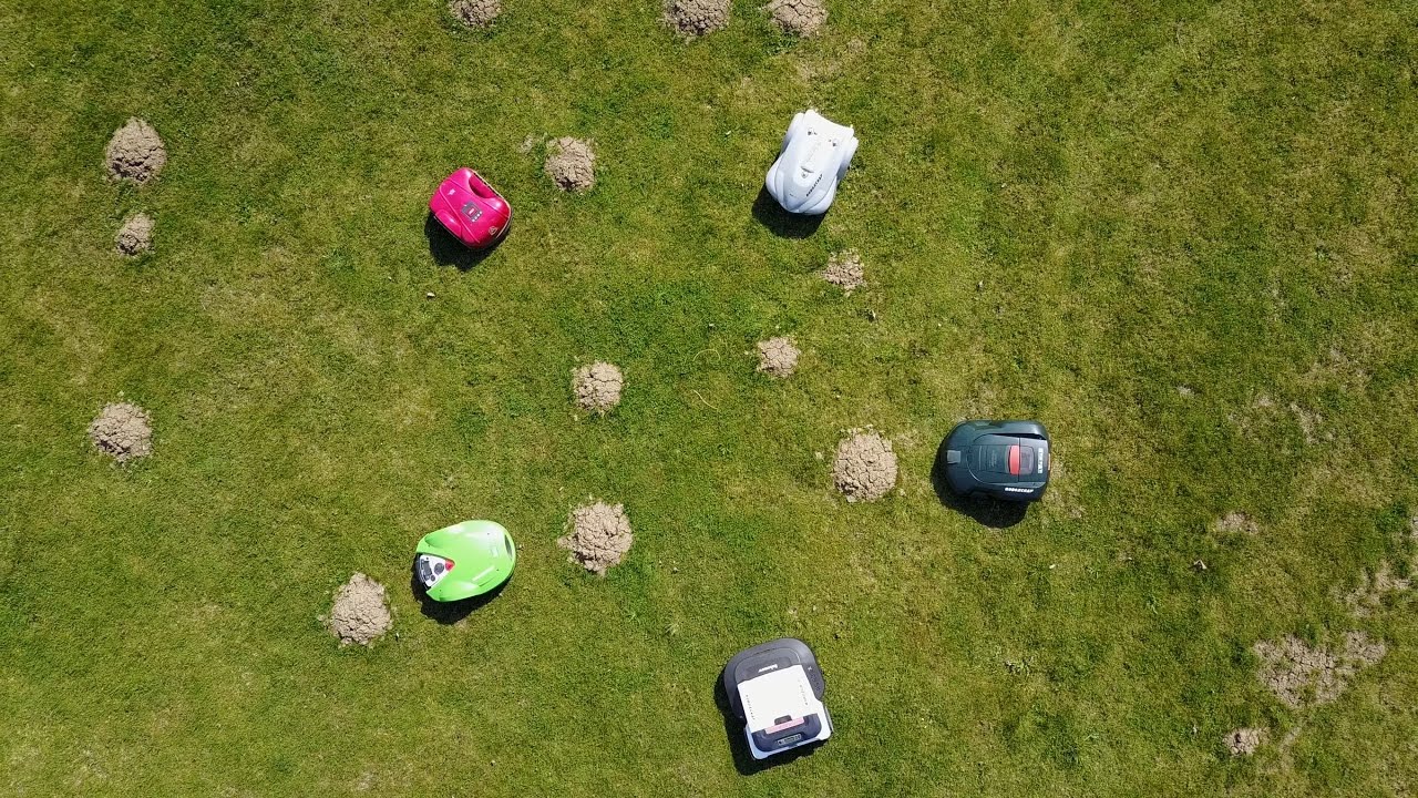 Rasenroboter vs. Maulwurfshügel: Wie meistern sie diese Herausforderung? 🌱🤖