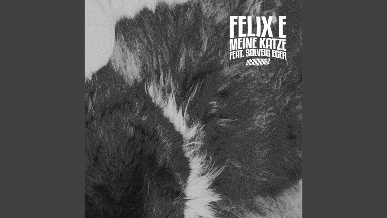 Meine Katze (Mister Sweatband Remix)