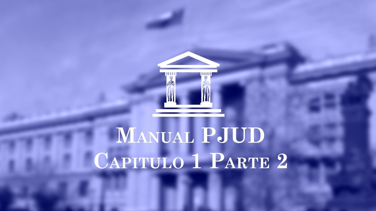 Capitulo 1: Sección General. Parte 2 - Manual único para Tribunales