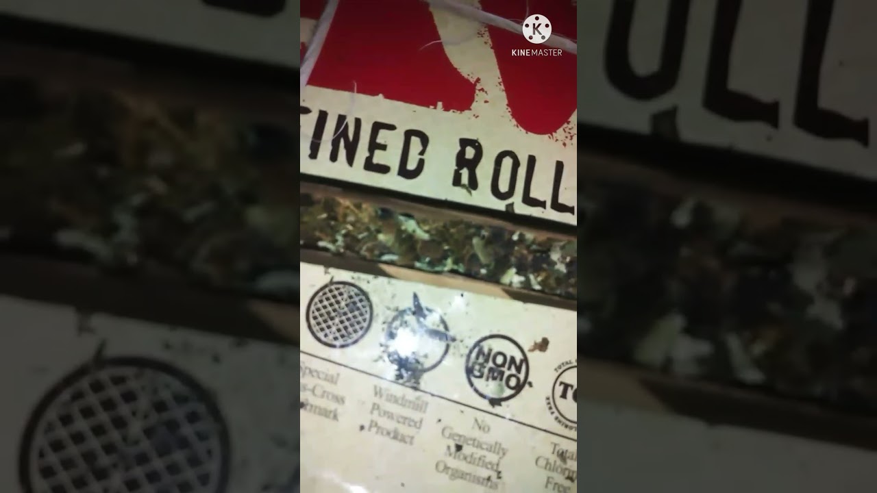 Roach-O To Blunt Transformation