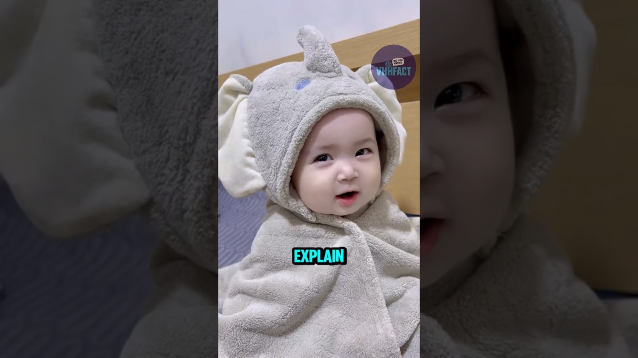 Throwing Cheese on a Baby&rsquo;s Head