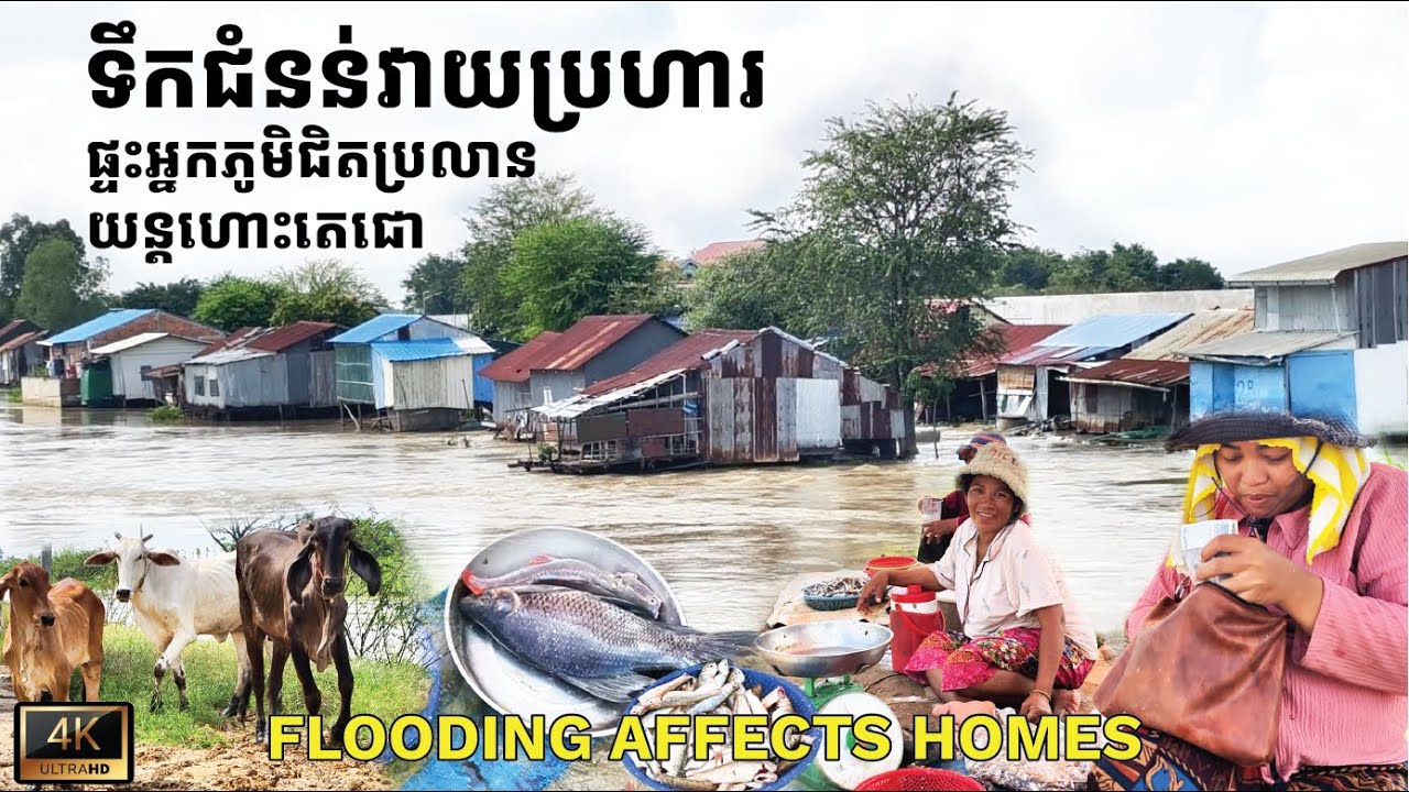 Flooding affects homes of villagers close to Techo Airport ទឹកជំនន់វាយប្រហារផ្ទះអ្នកភូមិជិតប្រលាន