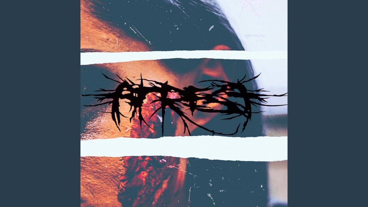 The Desire for Digital Decay